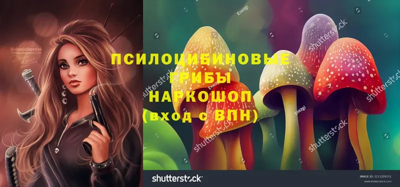 Галлюциногенные грибы MAGIC MUSHROOMS  Североморск 